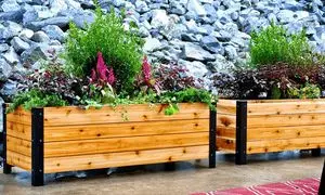 آشنایی با انواع فلاور باکس و کاربرد آن‌