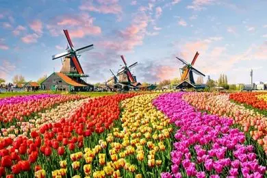 5 دلیل مهاجرت به هلند برای ایرانی ها