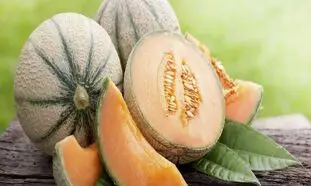 خوشمزه ترین طالبی دنیا چگونه تولید می شود؟ (ویدیو)
