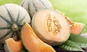 خوشمزه ترین طالبی دنیا چگونه تولید می شود؟ (ویدیو)