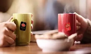 هر آنچه باید درباره شرکت صنایع غذایی گلستان بدانید