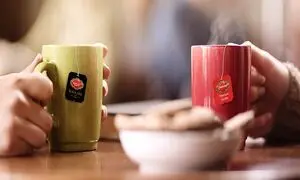 هر آنچه باید درباره شرکت صنایع غذایی گلستان بدانید