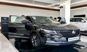 دیگنیتی پرایم برای دومین بار در بورس کالا عرضه شد