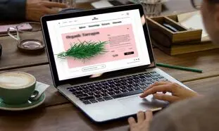 چه شرکتی را برای طراحی سایت انتخاب کنیم؟