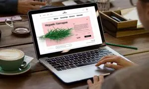 چه شرکتی را برای طراحی سایت انتخاب کنیم؟