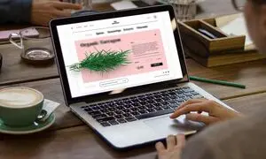 چه شرکتی را برای طراحی سایت انتخاب کنیم؟