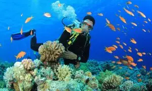 آموزش غواصی در کیش ؛ تفریح محبوب