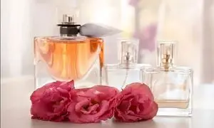 هر آنچه باید درباره فروشگاه اینترنتی عطرسرا بدانید