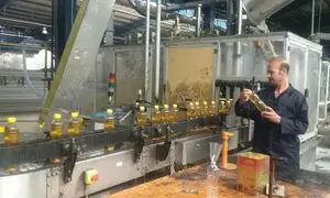 هشدار درباره کاهش تولید و گران شدن روغن نباتی