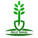 پالیز نهال