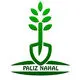 پالیز نهال
