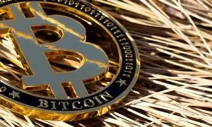 کاهش قیمت بیت کوین و ادامه ترس شدید سرمایه گذاران / قیمت روز 23 مهرماه
