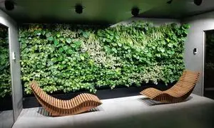 اهمیت دیوار سبز مصنوعی در معماری سبز و مزایای آن