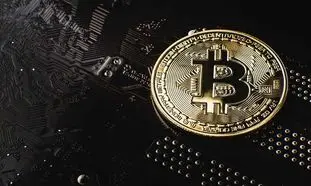 بیت کوین دوباره به اغما رفت!/ قیمت روز 19 آبان ماه 1401