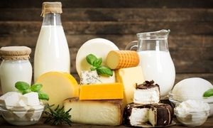 یازدهمین نمایشگاه دام و طیور، شیلات و تجهیزات وابسته یزد 1401