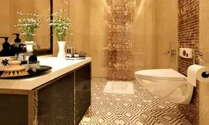 معرفی انواع سیفون توالت فرنگی + راهنمای رفع مشکلات آن