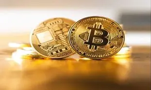 قیمت روز بیت کوین 14 آذر 1401/ برگشت نرخ رمزارز مشهور