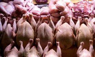 زیان 3 هزار میلیاردی مرغداران از ارزانی مرغ !