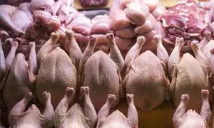 زیان 3 هزار میلیاردی مرغداران از ارزانی مرغ !
