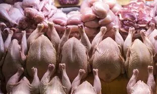 زیان 3 هزار میلیاردی مرغداران از ارزانی مرغ !