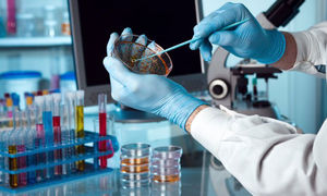 سی و یکمین نمایشگاه هفته سلامت روسیه 2022