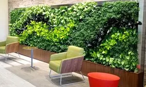 همه چیز درباره دیوار سبز ؛ سازه‌ ای زندگی بخش