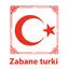 موسسه زبان ترکی