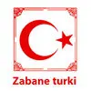 موسسه زبان ترکی