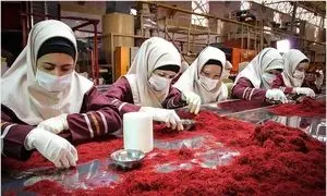 رویداد هزارتو؛ روایت نزدیک از یک روز ویژه در کارخانه زعفران