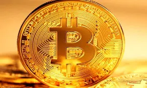 خریداران بیت کوین چقدر سود کردند؟