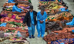 کرونا حریف کارتن خواب های تهران نشد!