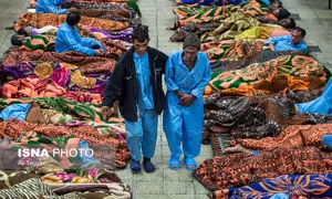 کرونا حریف کارتن خواب های تهران نشد!