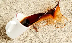 راهنمای کاربردی لکه برداری و سفید شویی فرش رنگ روشن