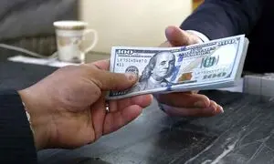 افزایش نرخ ارز ؛ ترفند دولت برای جذب دلارهای خانگی؟