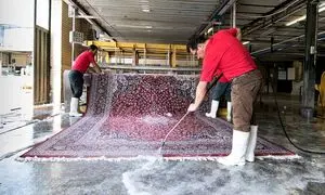 قبل از انتخاب قالیشویی به این نکات توجه کنید