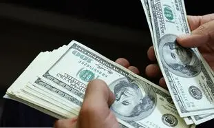 قیمت روز دلار 12 دی 1401/ نرخ ارز ساکن شد