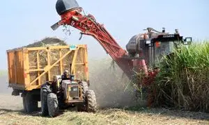 قاچاق 200 میلیون دلاری با یک بهانه خیلی شیرین!