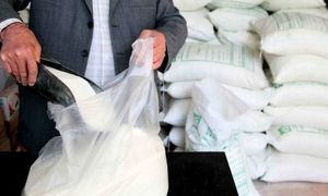 قیمت شکر ارزان می شود یا گران؟