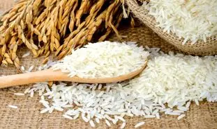 قیمت انواع برنج ایرانی 10 کیلویی در دی ماه