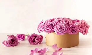 بهترین روش خرید اینترنتی باکس گل برای هدیه