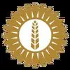 شمس