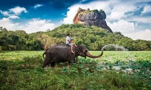 جاهای دیدنی سریلانکا که باید ببینید