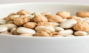 ارزان شدن نخود و لوبیا به واردات گره خورد