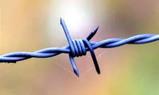 کاربردها و قیمت سیم خاردار 12 بهمن 1401