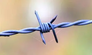 کاربردها و قیمت سیم خاردار 12 بهمن 1401
