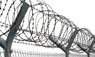 قیمت سیم خاردار حلقوی سوزنی 13 بهمن 1401 + معرفی انواع آن