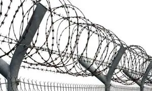 قیمت سیم خاردار حلقوی سوزنی 13 بهمن 1401 + معرفی انواع آن