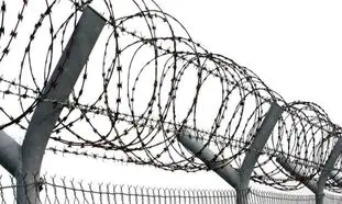 قیمت سیم خاردار حلقوی سوزنی 13 بهمن 1401 + معرفی انواع آن
