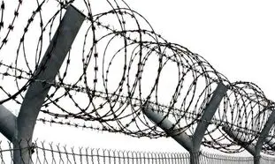 قیمت سیم خاردار حلقوی سوزنی 13 بهمن 1401 + معرفی انواع آن