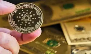 خرید و فروش کاردانو در صرافی چه شرایطی دارد؟